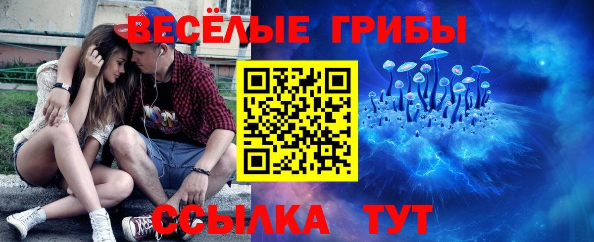 Галлюциногенные грибы Psilocybine cubensis Полевской